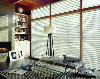 article image - 